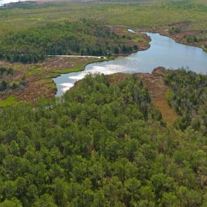 Photo #27 of 3277 Hodges, Scranton, NC 200.0 acres