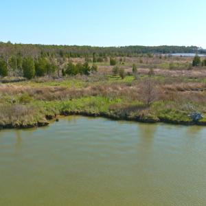 Photo #18 of 3277 Hodges, Scranton, NC 200.0 acres