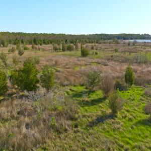 Photo #19 of 3277 Hodges, Scranton, NC 200.0 acres