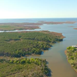Photo #11 of 3277 Hodges, Scranton, NC 200.0 acres