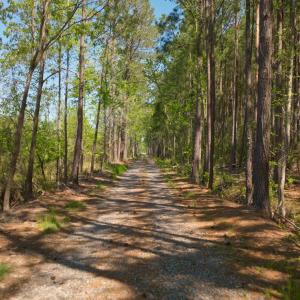 Photo #8 of 3277 Hodges, Scranton, NC 200.0 acres