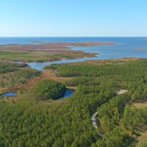 Photo #1 of 3277 Hodges, Scranton, NC 200.0 acres