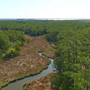 Photo #23 of 3277 Hodges, Scranton, NC 200.0 acres