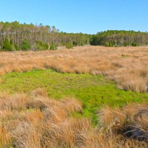 Photo #29 of 3277 Hodges, Scranton, NC 200.0 acres