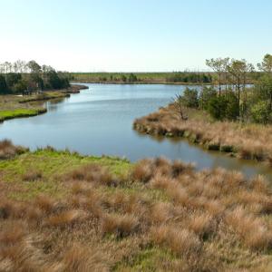 Photo #10 of 3277 Hodges, Scranton, NC 200.0 acres