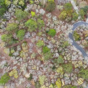 Photo #21 of 584 Asphodel, Supply, NC 0.7 acres