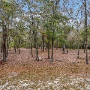 Photo #1 of 584 Asphodel, Supply, NC 0.7 acres
