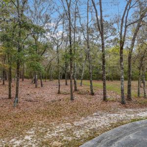 Photo #2 of 584 Asphodel, Supply, NC 0.7 acres
