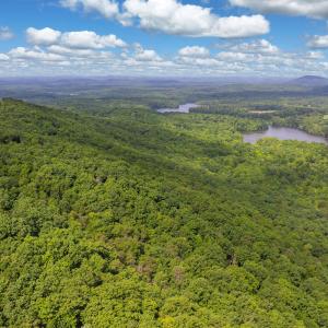 Photo #12 of Fawn, Asheboro, NC 43.2 acres