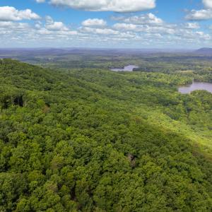 Photo #11 of Fawn, Asheboro, NC 43.2 acres