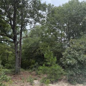 Photo #2 of 406 Douglas, Beech Island, SC 12.0 acres