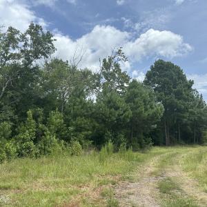 Photo #3 of Near 99 Andrews Lake, Tabor City, NC 33.0 acres
