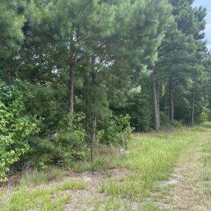Photo #2 of Near 99 Andrews Lake, Tabor City, NC 33.0 acres