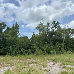 Photo #1 of Near 99 Andrews Lake, Tabor City, NC 33.0 acres
