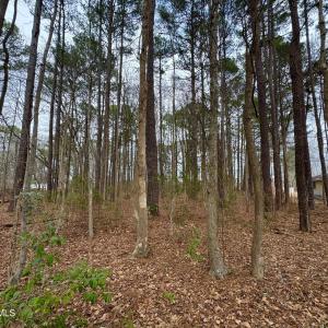 Photo #4 of Lincoln, Kenly, NC 1.7 acres