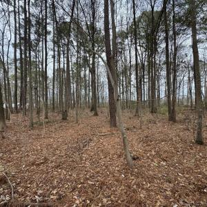 Photo #6 of Lincoln, Kenly, NC 1.7 acres