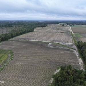 Photo #2 of Huckleberry, Lucama, NC 182.0 acres
