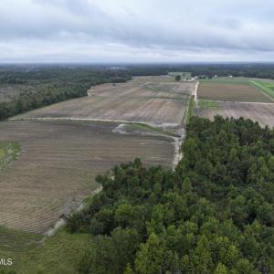 Photo #3 of Huckleberry, Lucama, NC 182.0 acres
