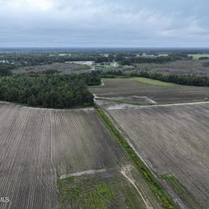 Photo #11 of Huckleberry, Lucama, NC 182.0 acres