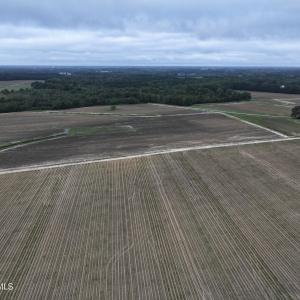 Photo #10 of Huckleberry, Lucama, NC 182.0 acres