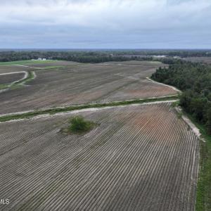 Photo #4 of Huckleberry, Lucama, NC 182.0 acres