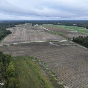 Photo #12 of Huckleberry, Lucama, NC 182.0 acres