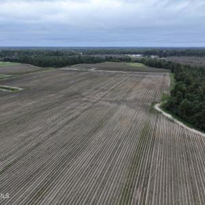 Photo #8 of Huckleberry, Lucama, NC 182.0 acres