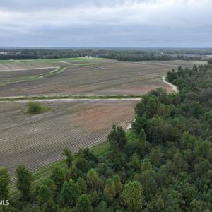 Photo #7 of Huckleberry, Lucama, NC 182.0 acres