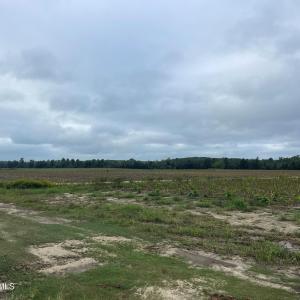 Photo #20 of Huckleberry, Lucama, NC 182.0 acres