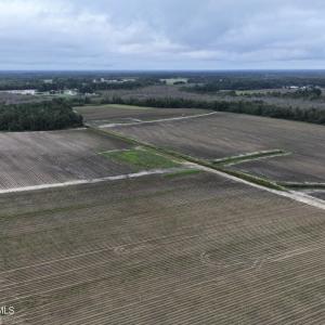 Photo #9 of Huckleberry, Lucama, NC 182.0 acres