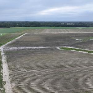 Photo #5 of Huckleberry, Lucama, NC 182.0 acres