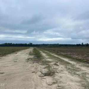 Photo #21 of Huckleberry, Lucama, NC 182.0 acres