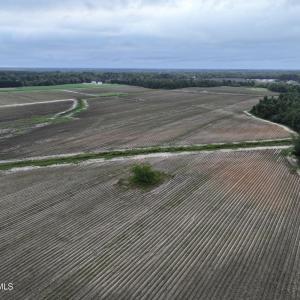 Photo #6 of Huckleberry, Lucama, NC 182.0 acres