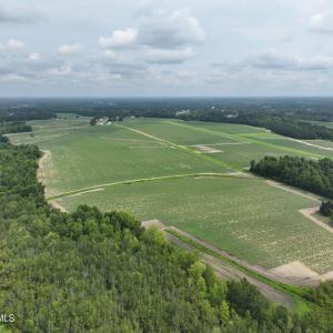 Photo #8 of Huckleberry, Lucama, NC 182.0 acres