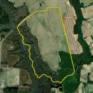 Photo #1 of Huckleberry, Lucama, NC 182.0 acres