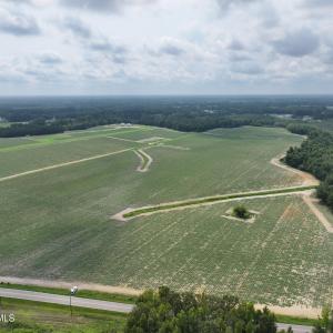 Photo #5 of Huckleberry, Lucama, NC 182.0 acres