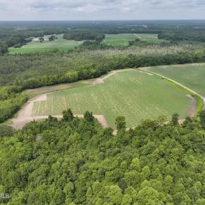 Photo #3 of Huckleberry, Lucama, NC 182.0 acres