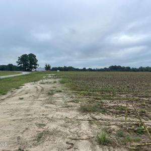 Photo #20 of Huckleberry, Lucama, NC 182.0 acres