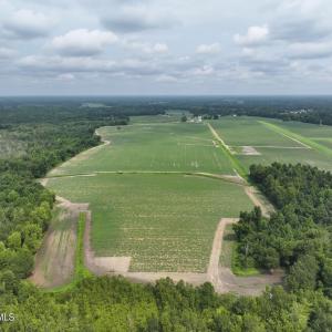Photo #9 of Huckleberry, Lucama, NC 182.0 acres