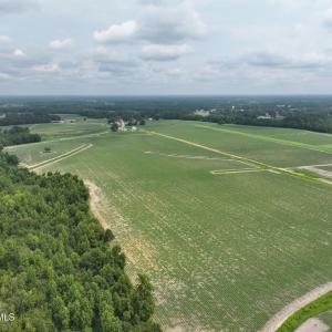Photo #7 of Huckleberry, Lucama, NC 182.0 acres