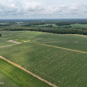 Photo #12 of Huckleberry, Lucama, NC 182.0 acres