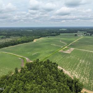 Photo #10 of Huckleberry, Lucama, NC 182.0 acres