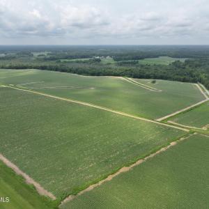 Photo #14 of Huckleberry, Lucama, NC 182.0 acres