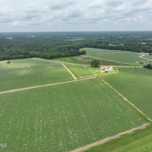 Photo #11 of Huckleberry, Lucama, NC 182.0 acres