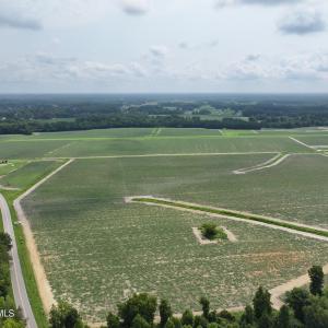 Photo #6 of Huckleberry, Lucama, NC 182.0 acres