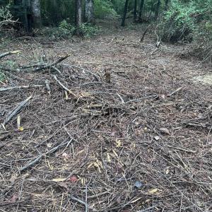 Photo #12 of 844 Sweet Raspberry, Lillington, NC 17.4 acres