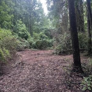 Photo #7 of 844 Sweet Raspberry, Lillington, NC 17.4 acres