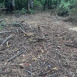 Photo #8 of 844 Sweet Raspberry, Lillington, NC 17.4 acres