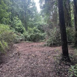 Photo #13 of 844 Sweet Raspberry, Lillington, NC 17.4 acres