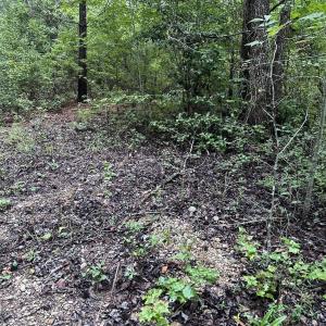 Photo #10 of 844 Sweet Raspberry, Lillington, NC 17.4 acres